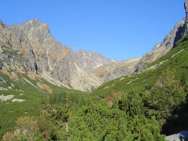 Schronisko Téryho