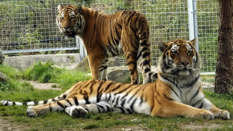zoo spišská nová ves