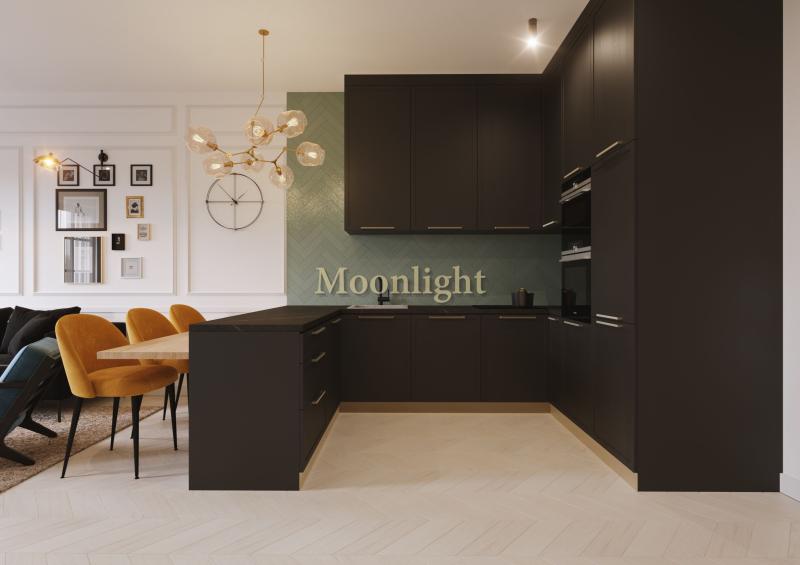 Moonlight1