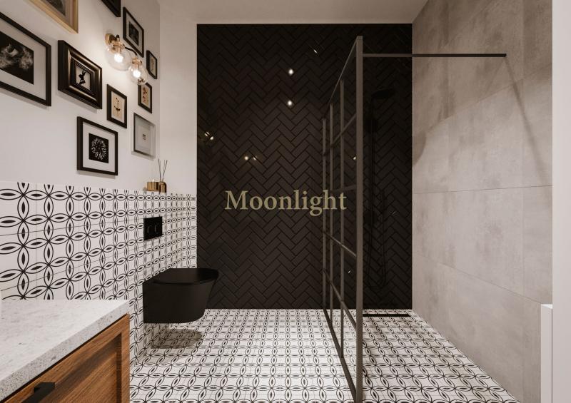 Moonlight10
